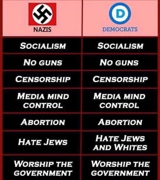 compare and contrast - nazis and dems.jpg